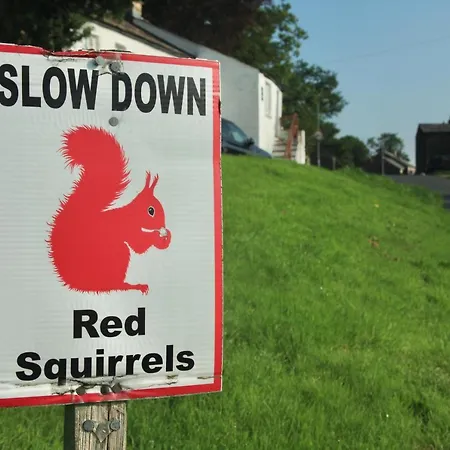 Kings Head - Riverside, 3*