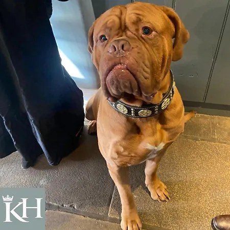 Kings Head - Riverside, 3*