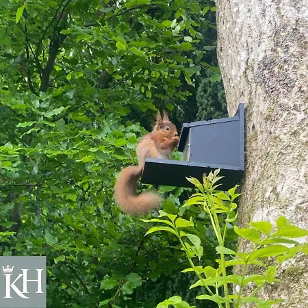 Ξενοδοχείο Kings Head - Riverside, Ravenstonedale