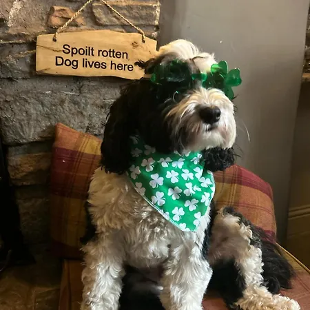 Ξενοδοχείο Kings Head - Riverside,