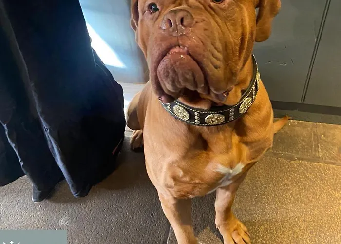 Kings Head - Riverside, 3*