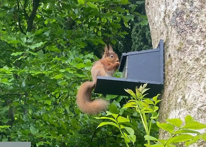 Hotel Kings Head - Riverside, Ravenstonedale