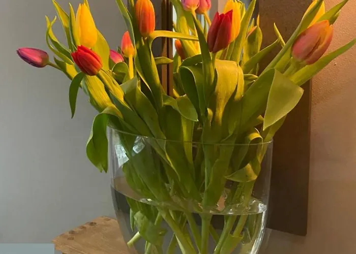 Kings Head - Riverside, Ravenstonedale