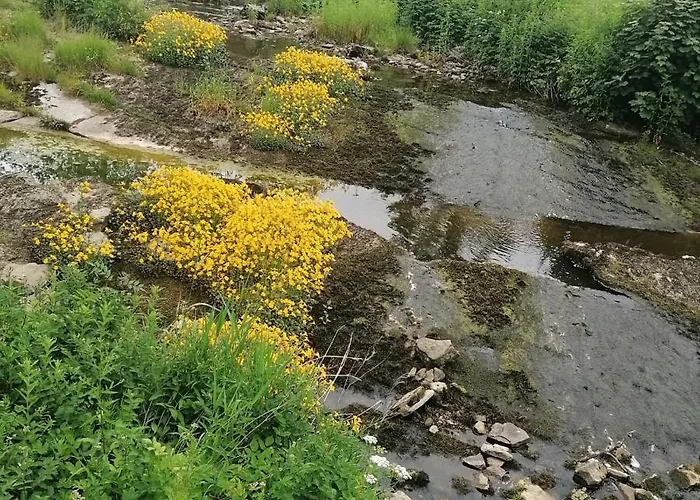 Kings Head - Riverside, Ravenstonedale