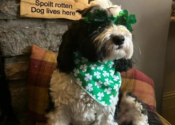 Hotel Kings Head - Riverside,