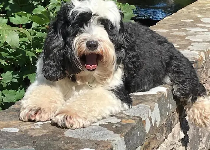 Kings Head - Riverside, Ravenstonedale